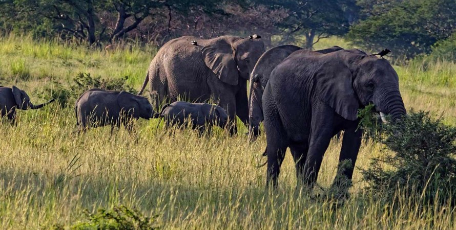 7-Days-best-of-Kenya-Wildlife-Safari